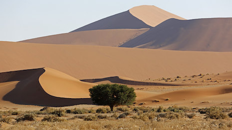 Tourism draw: Sand dunes in the Namib Desert in Namibia. Image credit: Namibia Tourism Board, iStock
