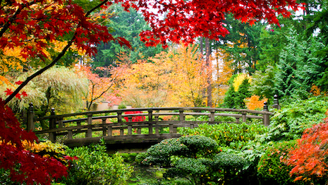 Japanese gardens are valued for their tranquility and embrace of nature