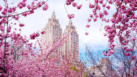 Spring in New York. Image: Nadya Kubik, Shutterstock